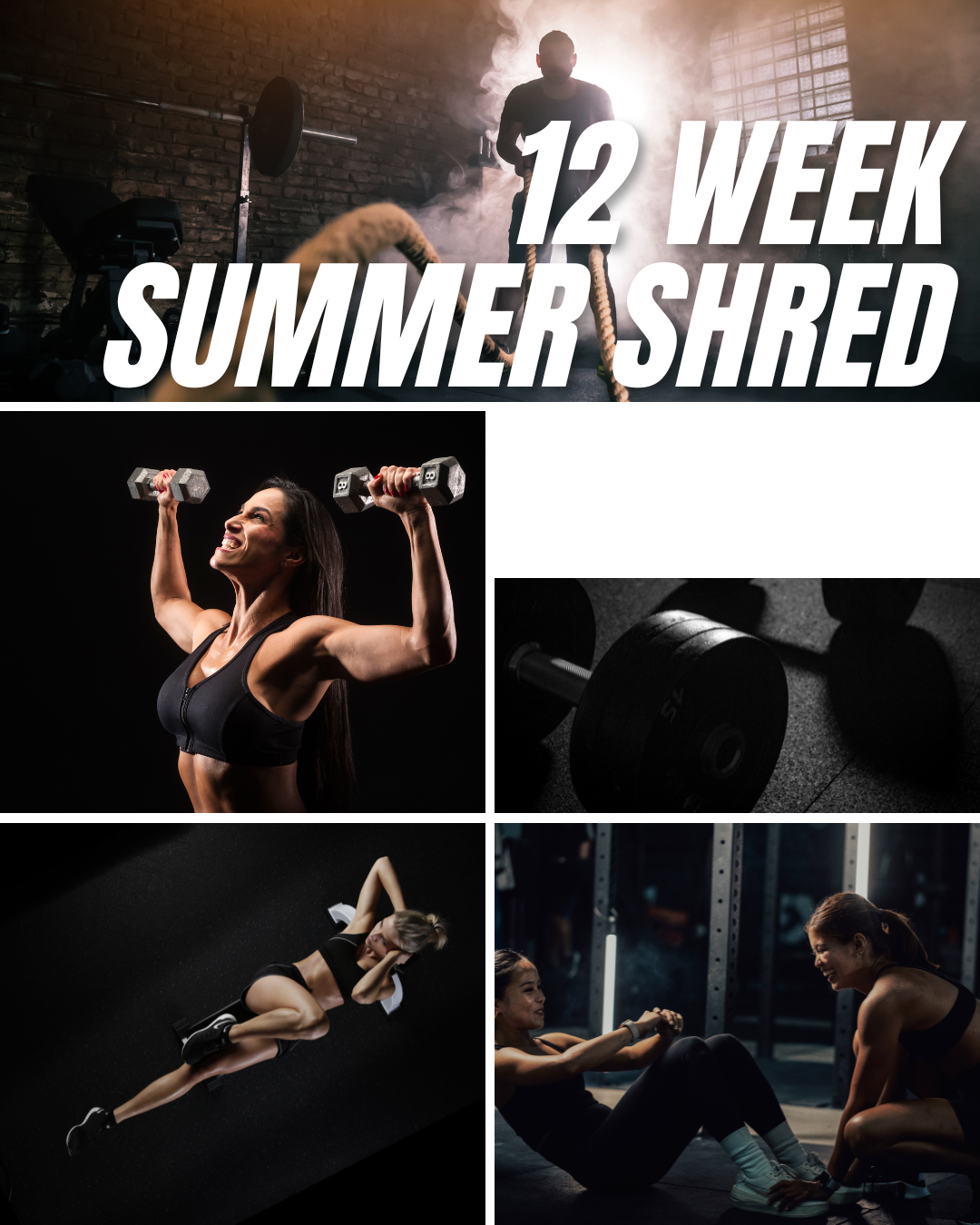 TIER 2 | MALE PLAN SUMMER SHRED - PLAN, GROUP CHAT & WEEKLY CHECK INS